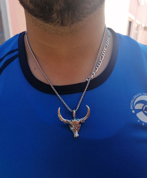 Taurus The Bull Head Necklace