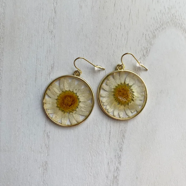 Round Real Daisy Resin Filled Earrings
