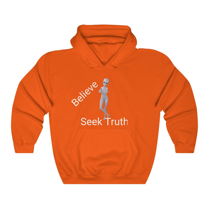 Believe Seek Truth - Unisex Heavy Blend™ Hoodie