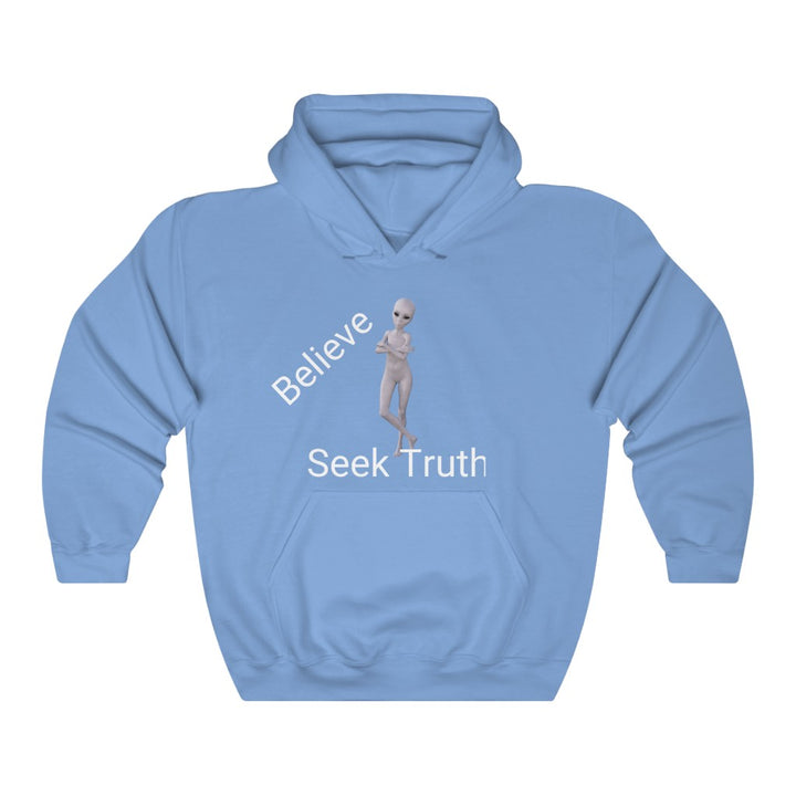Believe Seek Truth - Unisex Heavy Blend™ Hoodie