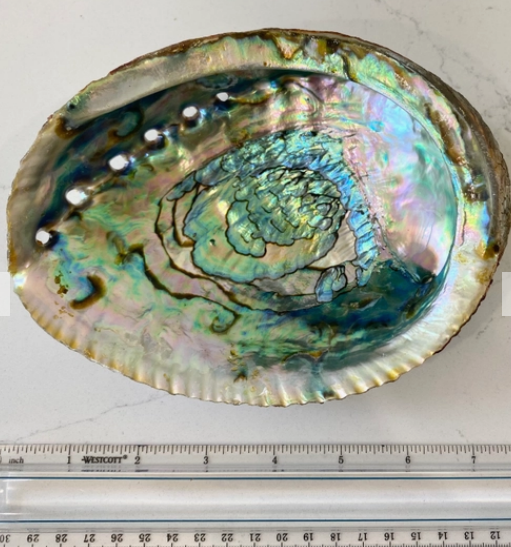 Abalone Smudge Bowl and Stand (Med or Large)