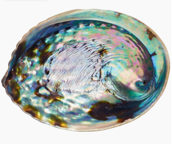 Abalone Smudge Bowl and Stand (Med or Large)