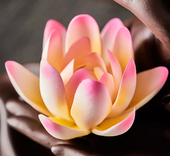 White Lotus Zen Backflow Waterfall