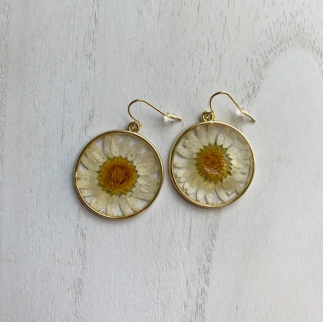 Round Real Daisy Resin Filled Earrings