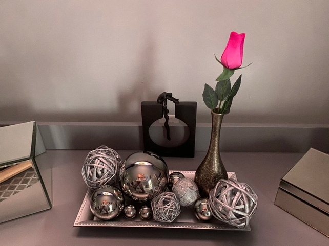 Stainless Steel Multi-Purpose Decorations Spheres (6 pcs)
