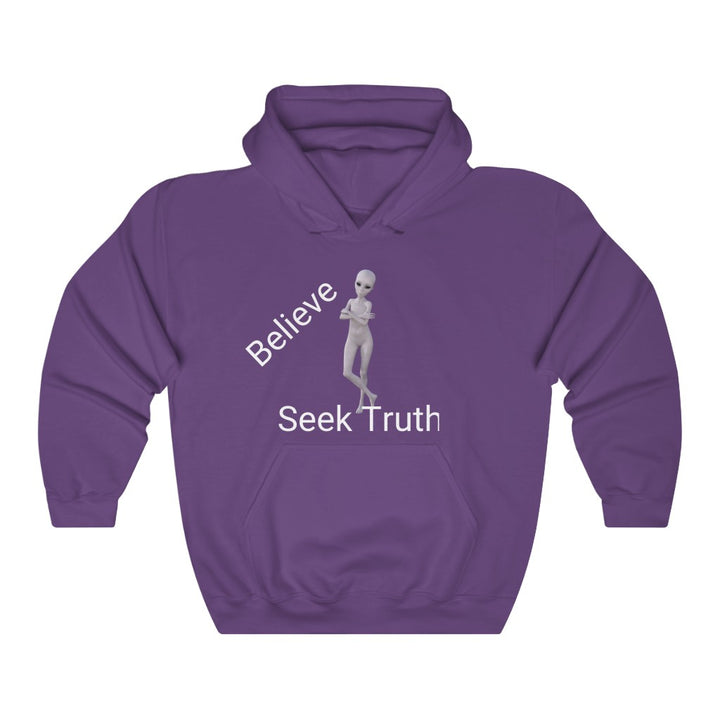 Believe Seek Truth - Unisex Heavy Blend™ Hoodie