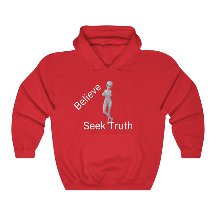 Believe Seek Truth - Unisex Heavy Blend™ Hoodie