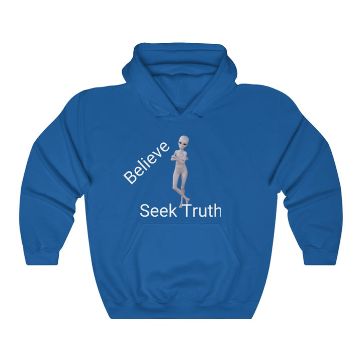 Believe Seek Truth - Unisex Heavy Blend™ Hoodie