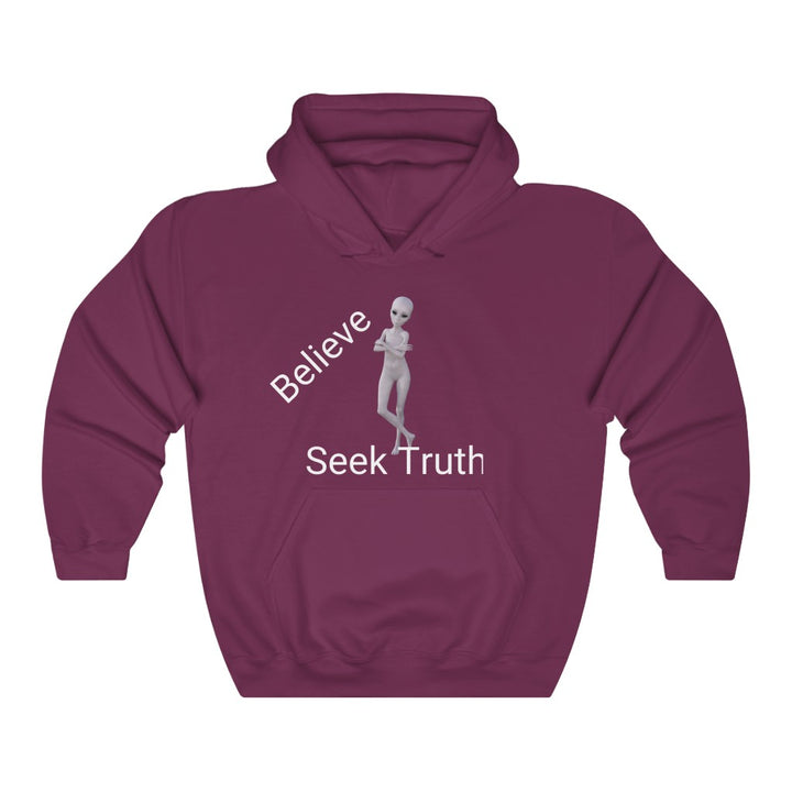 Believe Seek Truth - Unisex Heavy Blend™ Hoodie