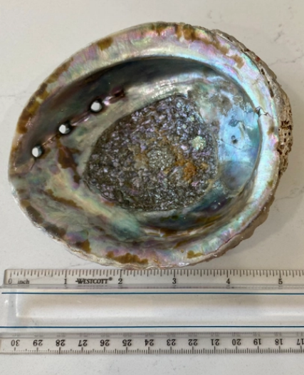 Abalone Smudge Bowl and Stand (Med or Large)