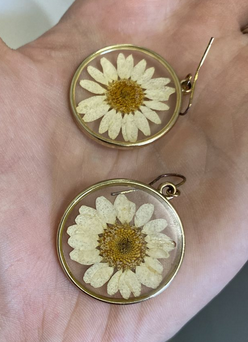 Round Real Daisy Resin Filled Earrings