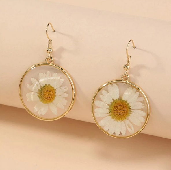 Round Real Daisy Resin Filled Earrings