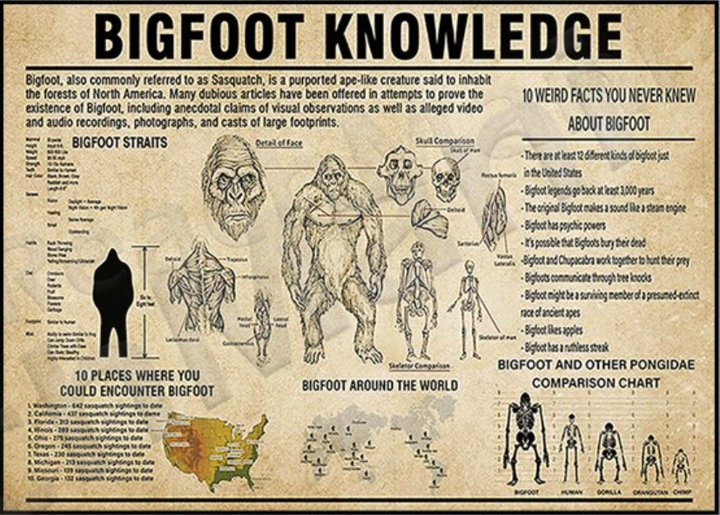 Bigfoot Knowledge Poster 16"x24"