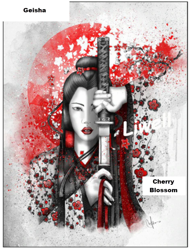 Cherry Blossom Geisha Warrior Diamond Dot Painting Kit