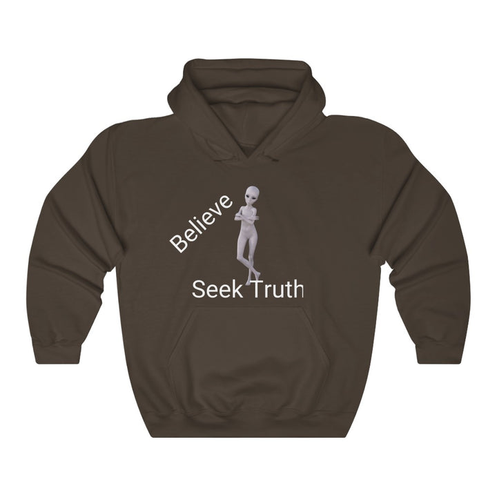 Believe Seek Truth - Unisex Heavy Blend™ Hoodie
